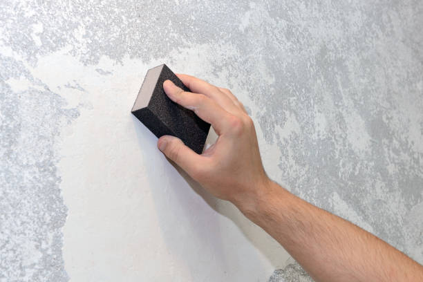 Best Industrial Mold Remediation  in Absecon, NJ