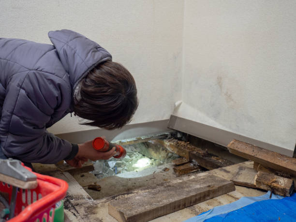 Best Water Damage & Mold Remediation  in Absecon, NJ