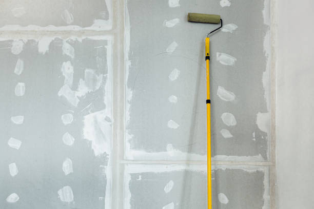 Best Mold Removal for HVAC Installations  in Absecon, NJ