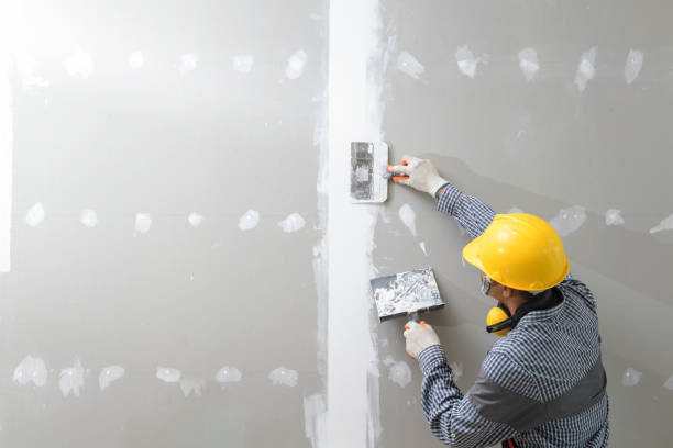 Best Comprehensive Air Testing for Mold Contaminants  in Absecon, NJ