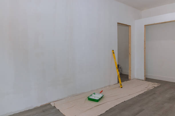 Best Mold Odor Removal Services  in Absecon, NJ