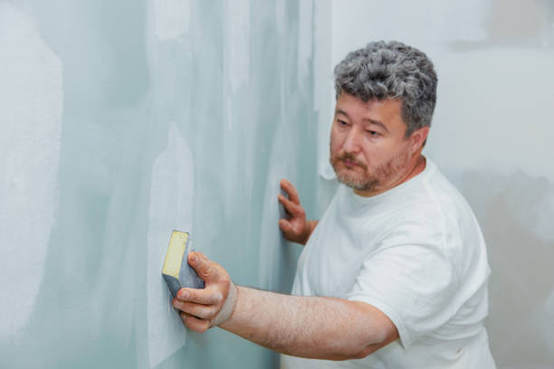 Best Mold Damage Restoration  in Absecon, NJ